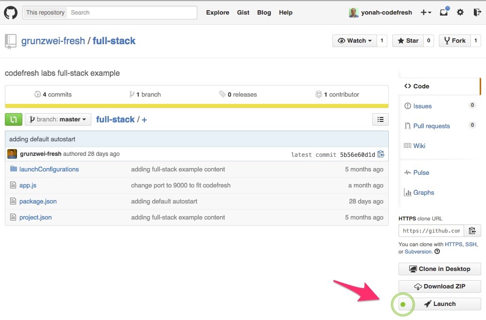 Step 14: Launch Project from Github